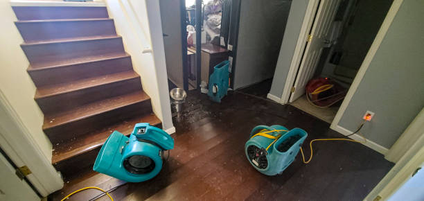 Best Local water damage restoration  in Chalfant, CA