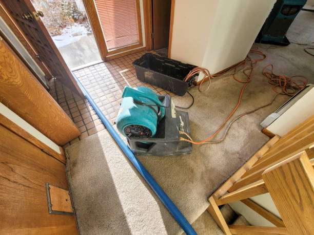 Best Fire Damage Restoration  in Chalfant, CA