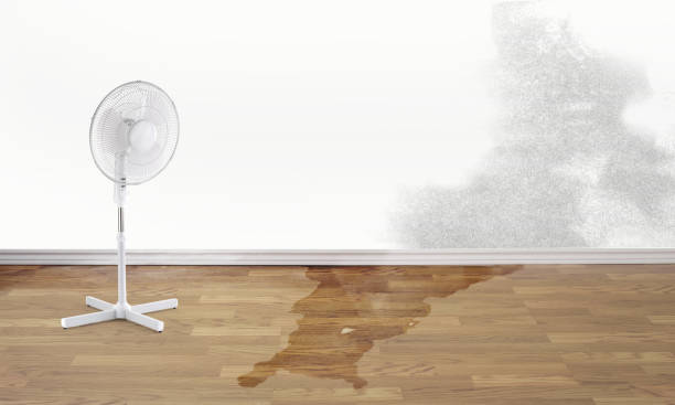 Best Sewage cleanup and water damage restoration  in Chalfant, CA