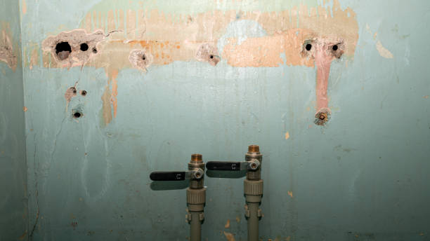 Best Flood damage cleanup  in Chalfant, CA