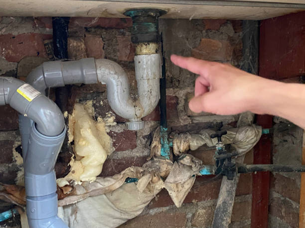  Chalfant, CA Water damage restoration Pros