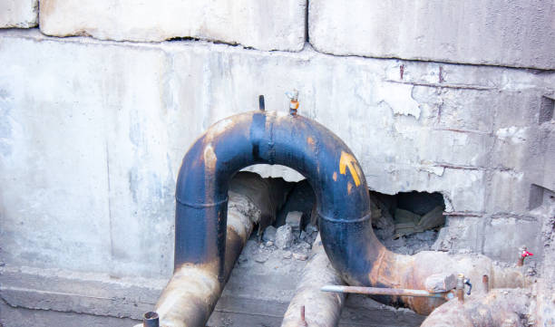Best Water damage cleanup near me  in Chalfant, CA