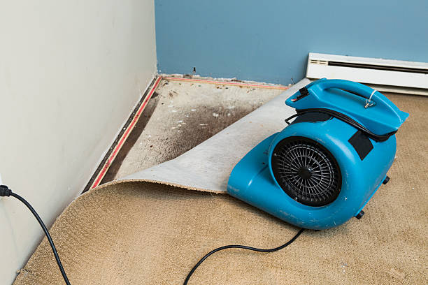 Best Emergency water damage restoration  in Chalfant, CA